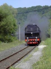 Zug der "Dampfbahn" - mit Leitungen
