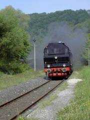 Zug der "Dampfbahn" - DPI 60, Qualität 50%, 6813 Bytes